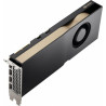PNY 12GB RTX A2000 4x mDP LP Smallbox (without Adapter)
