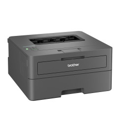 Brother HL-L2400DW imprimante laser 1200 x 1200 DPI A4 Wifi