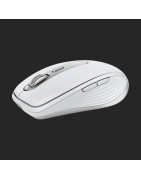 Souris